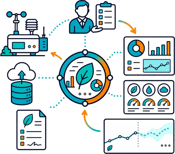 Consultancy and Big Data Analysis